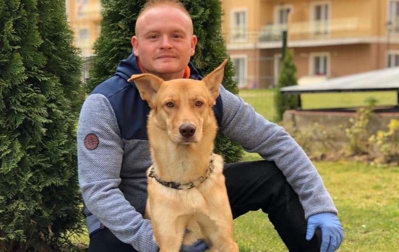 Un câine are propria rubrică la un show TV din România. Unde poate fi văzut și ce face în emisiune