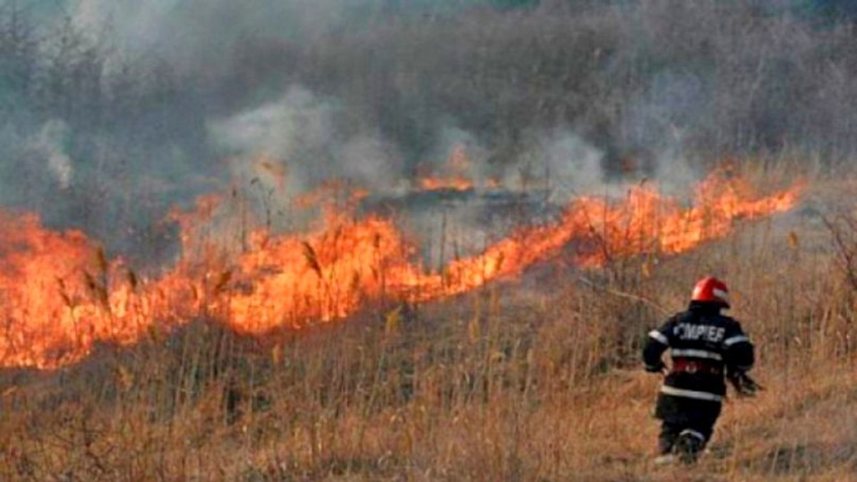 Incendiu de vegetație în Prahova. Mai multe case sunt în pericol