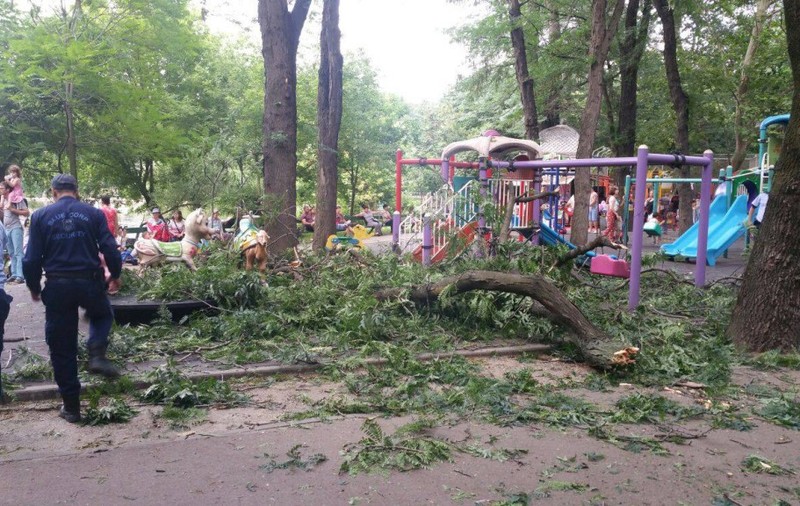 Reacţia lui Gabi Firea, după incidentul din Parcul Cişmigiu: "Nu voi admite sub nicio formă ca..."