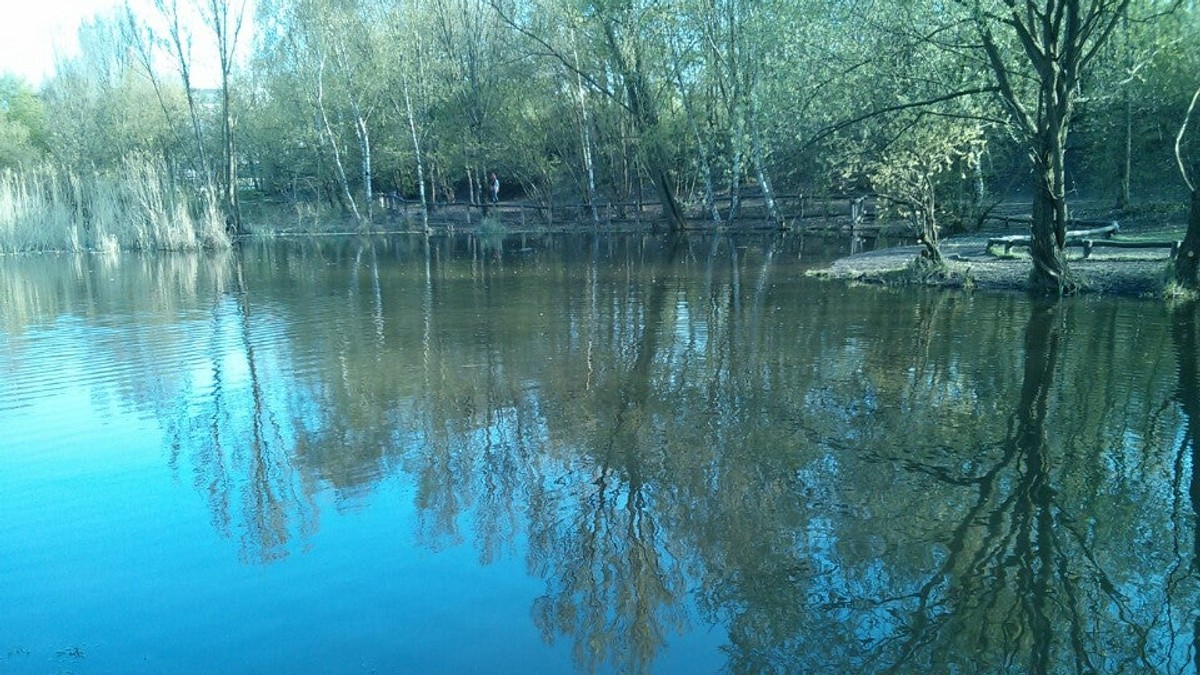 Arhiva foto