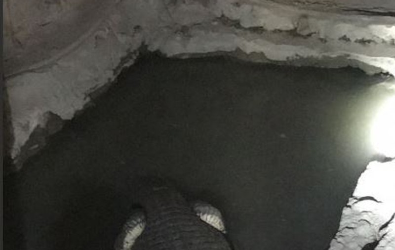 FOTO| Crocodil de Nil descoperit de autorități într-un beci din Rusia