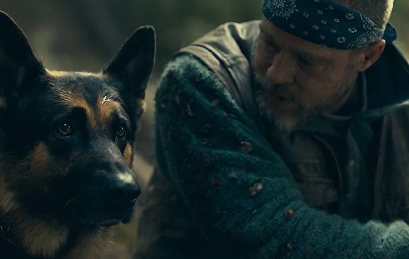 Brad Pitt și Odin