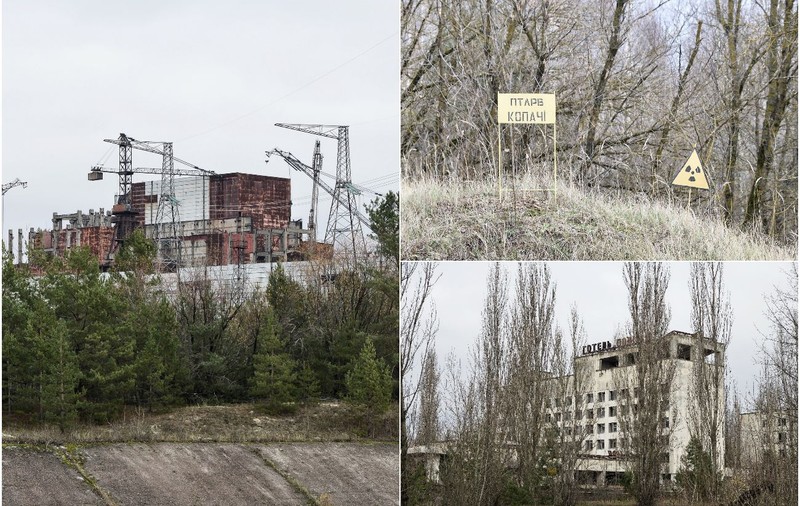 „Aveau fețele umflate și roșii. Pun pariu că nu mai sunt în viață”. Ce s-a întâmplat în „Pădurea Roșie” de la Cernobîl, unde rușii au săpat tranșee pe durata asediului de 45 de zile | FOTO