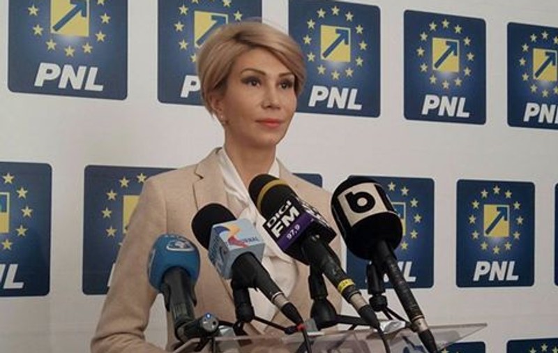 CCR: Când încetează interdicția ca persoanele condamnate să facă parte din Guvern. Turcan: Până în 2020 Liviu Dragnea nu poate fi prim-ministru