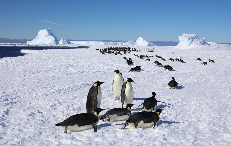 Cea mai scăzută temperatură de pe Pământ din ultimii 14 ani, înregistrată în Antarctica. Termometrele au indicat -84,1°C