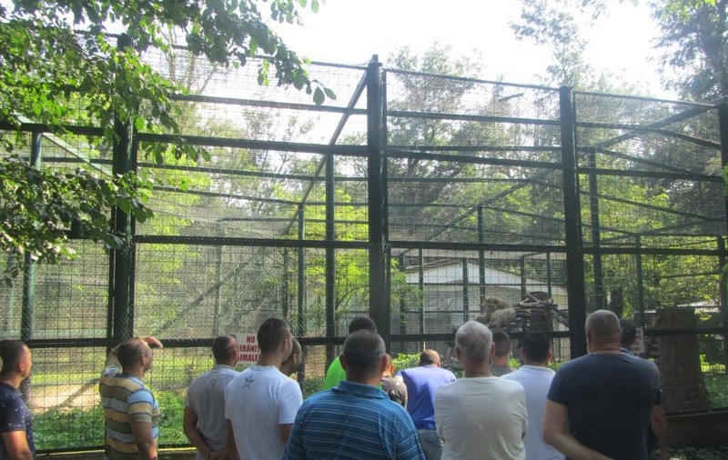 FOTO/ Deținuți de la Penitenciarul Vaslui, față în față cu leii și maimuțele de la Grădina Zoologică Bârlad