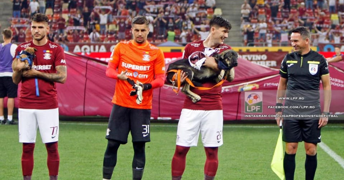 Jucătorii echipelor din Liga I au ieșit pe stadion cu cățeii din adăposturi, pentru a promova adopția. Foto: LPF