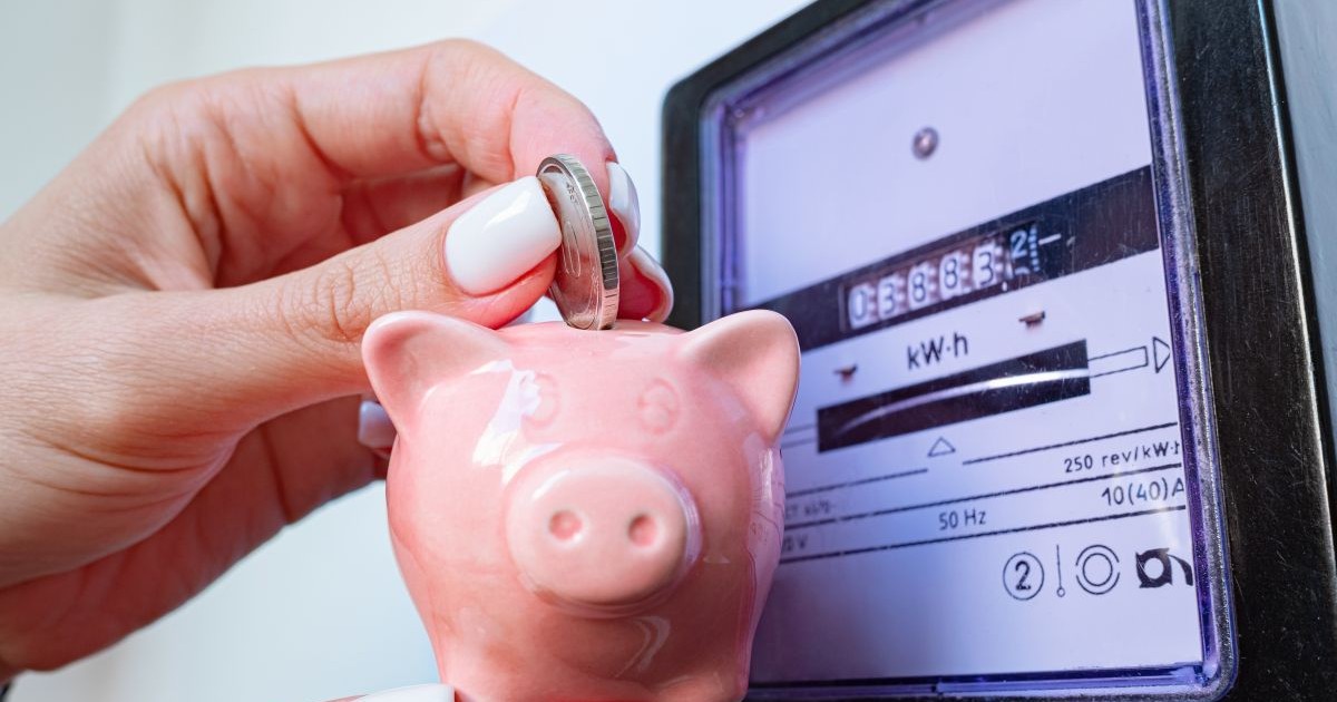 O femeie ține în mână o pușculiță în formă de porc roz, în care introduce o monedă, iar în spate se vede contorul de energie electrică și indexul care apare pe el