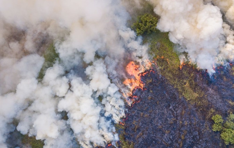 Pericol de incendii majore, după ce temperaturile au ajuns la aproape 50 de grade în Australia