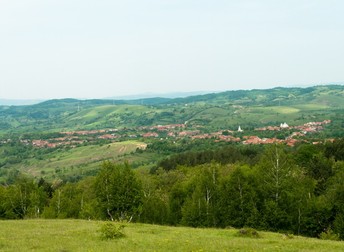 Comuna Târnova