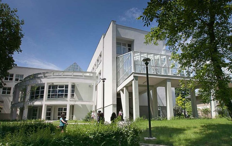 Tentativă de plagiat în masă la o universitate din Suceava. Cum i-a sancționat instituția academică pe cei 113 studenți