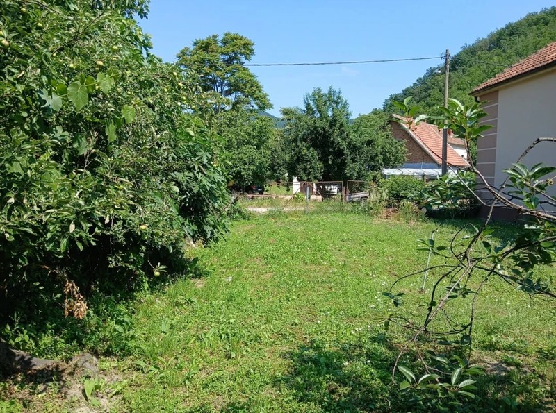 Proprietate lângă Dunăre, perfectă pentru pescari, la 10.000 de euro Sursa foto: Facebook/ Blic.rs