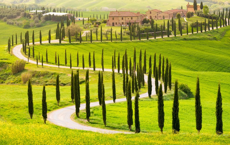 Curiozităţi despre Toscana