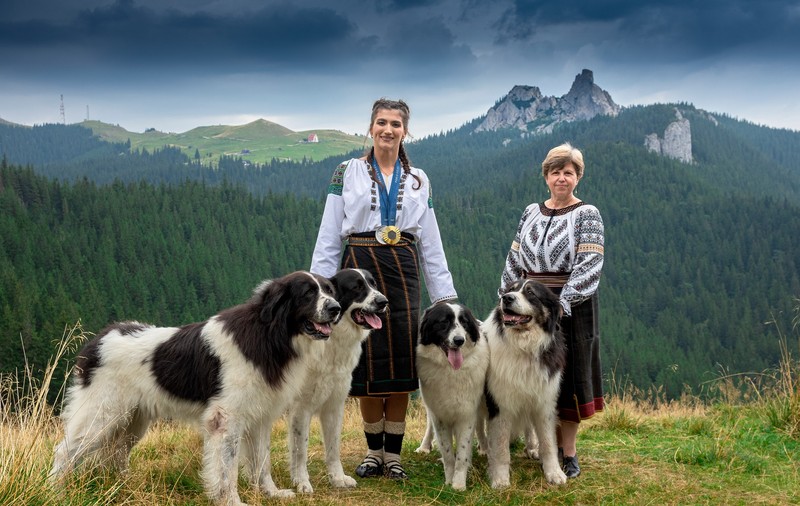 Canotoarea Ancuța Bodnar, ședință foto spectaculoasă în Munții Rarău. Dubla medaliată la JO 2024 apare alături de 4 câini ciobănești