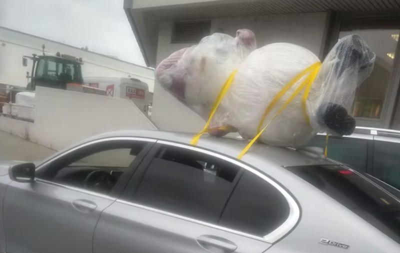 Cu omul de zăpadă pe mașină, în Austria. „Rareori am mai văzut ceva atât de amuzant”
