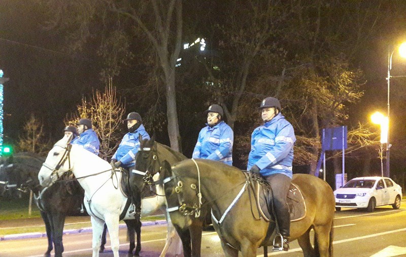 VIDEO | Caii Jandarmeriei, ”atracție turistică” pentru protestatarii din Piața Victoriei