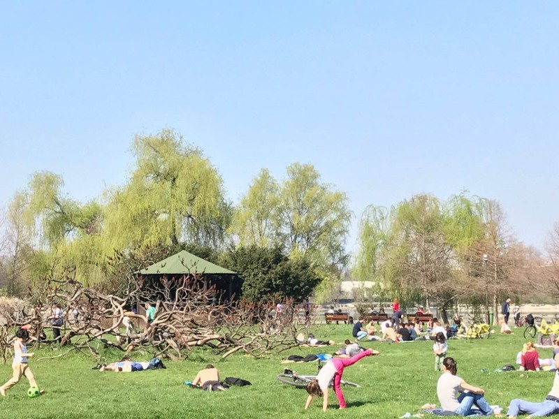 Prima zi de plajă în București! Parcul Herăstrău a fost luat cu asalt