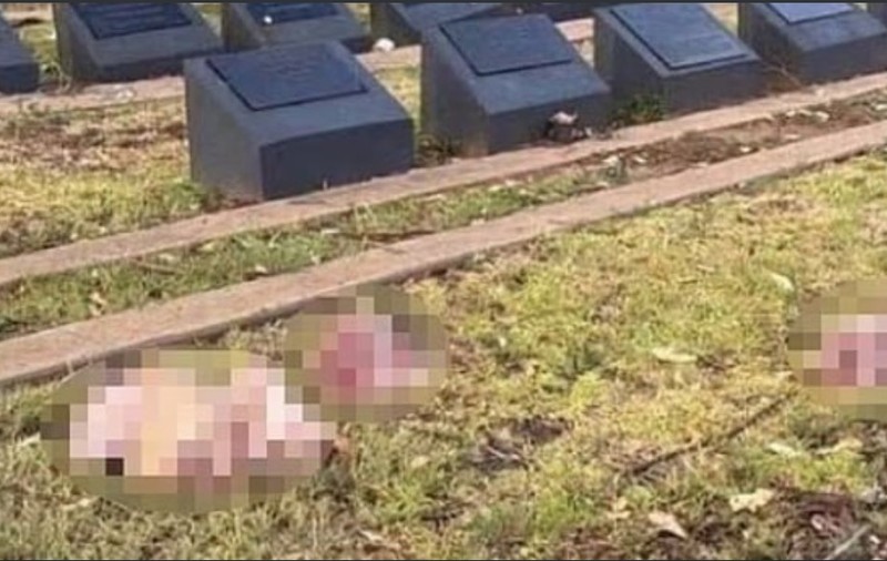 Cimitir musulman, profanat cu capete de porc, la câteva ore după atacul terorist de la Sydney