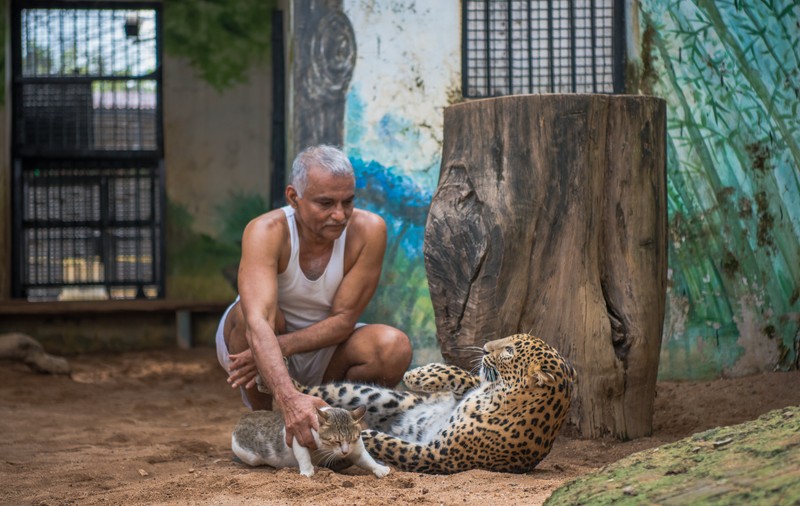 Un bărbat a salvat peste 100 de animale sălbatice, pe care le-a primit în ... locuința sa