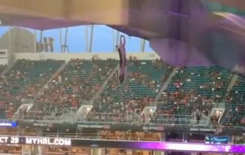 VIDEO VIRAL. O pisică e salvată de suporterii aflați pe un stadion din SUA, după ce cade din tribune