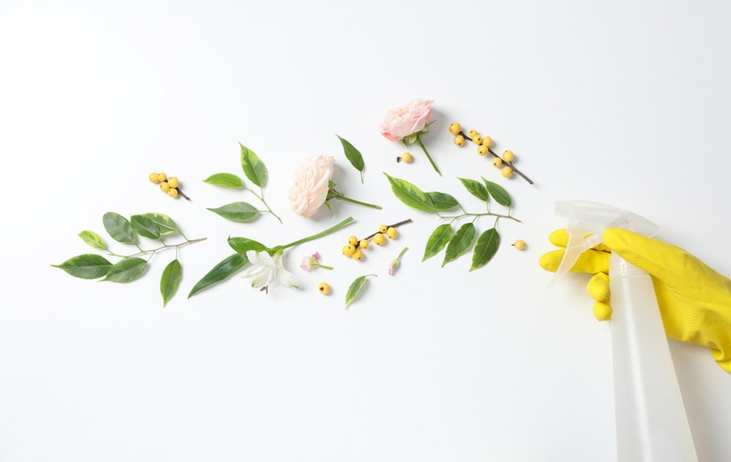 Produse esentiale pentru o curățenie de primăvara eco-friendly