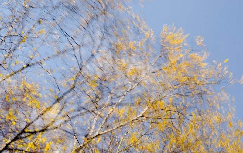 Prognoza meteo pentru următoarele patru săptămâni. Vreme mai rece decât normalul perioadei, urmată de vreme prea caldă