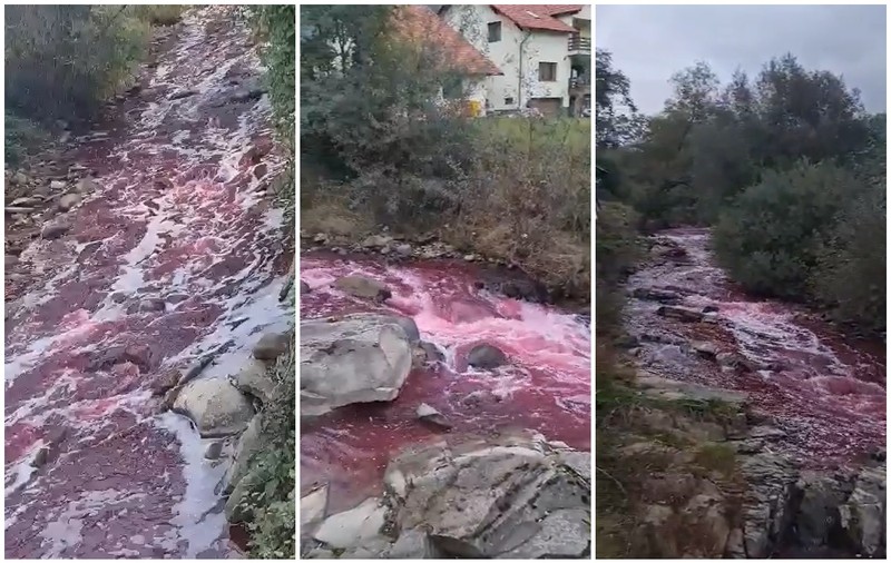 Imagini filmate cu apa care curge roșie pe râul Sălăuța, din Bistrița Năsăud | VIDEO