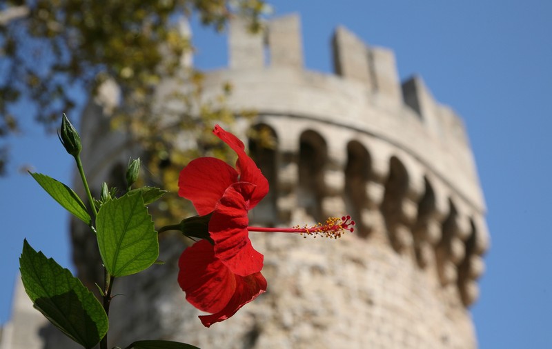 (P) Rhodos, insula brodată cu flori de hibiscus