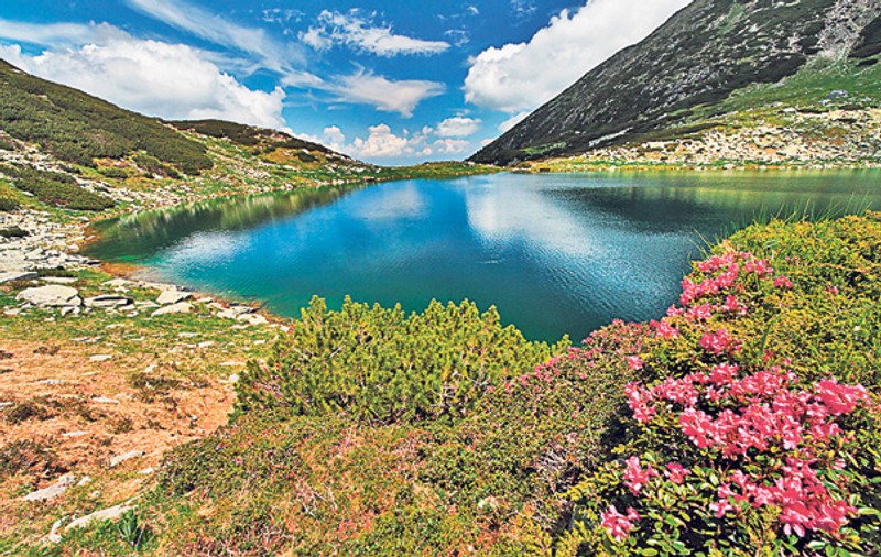 23 de noi arii naturale protejate din România vor fi incluse în rețeaua ecologică europeană Natura 2000