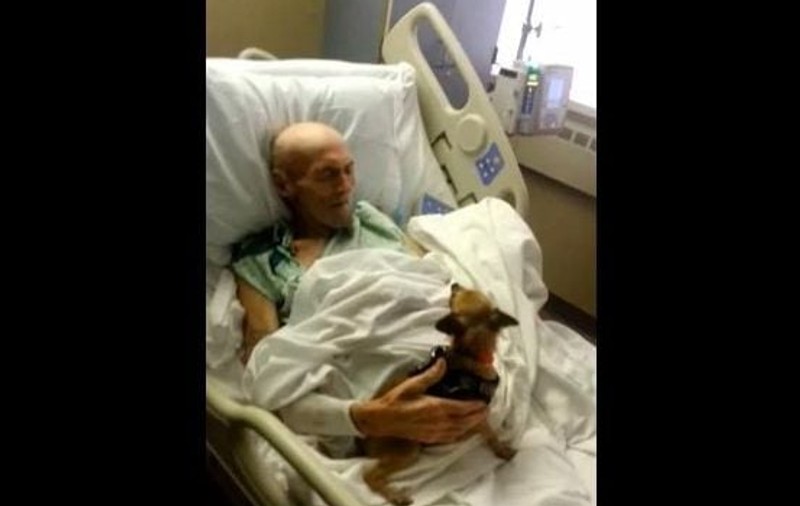 Un american grav bolnav şi-a revenit MIRACULOS după ce şi-a reîntâlnit câinele pierdut