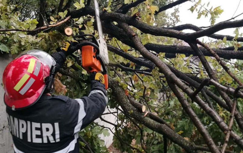 Bărbat rănit după ce un copac a căzut pe un bulevard aglomerat din București