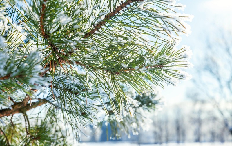 Cum va fi vremea mâine. Prognoza meteo pentru sâmbătă, 7 decembrie 2024