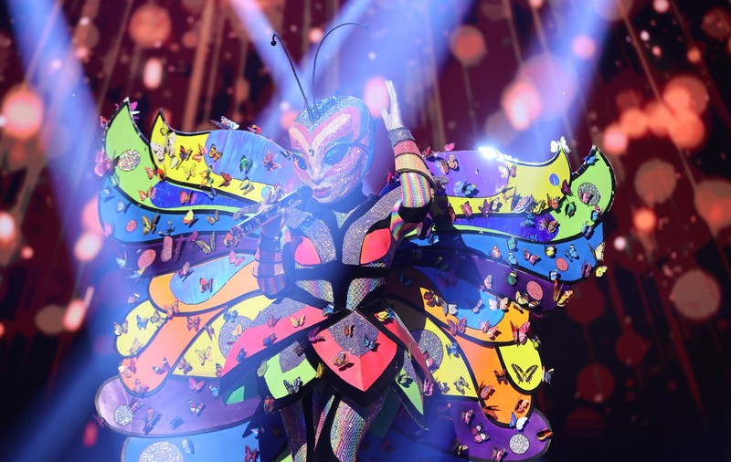 Fluturele, noi indicii la „Masked Singer România”, sezonul 2: „Succesul e iluzia cu care m-am hrănit foarte mult timp”