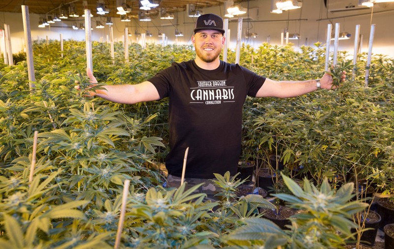 FOTO | Nepotul lui Meghan Markle cultivă legal cannabis. Un nou drog va fi lansat cu ocazia nunții regale