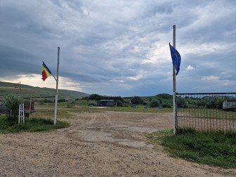 Arhiva foto