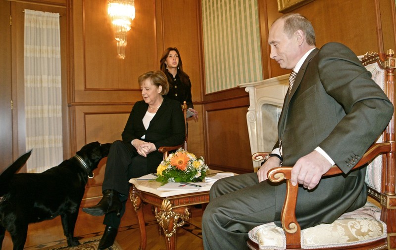 Putin, după ce și-a adus câinele la o întâlnire cu Merkel: „Angela, scuză-mă, nu știam că îți este frică, voiam sa fac o atmosferă plăcută”| VIDEO