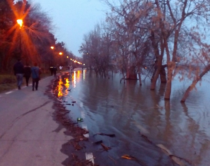 Dunărea, pe cale să treacă peste cota de inundații la Galați. La Şantierul Naval Damen se pun saci cu nisip pentru protejarea halelor/ FOTO