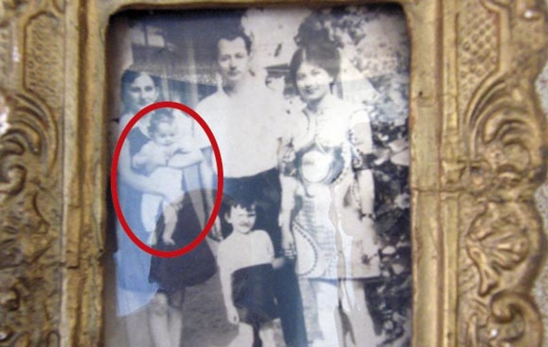 Primul armăsar al țării face duminică 46 de ani. Ce față avea când era mic! ”Era ca un măgăruș, avea butelii și între picioare” / FOTO&VIDEO