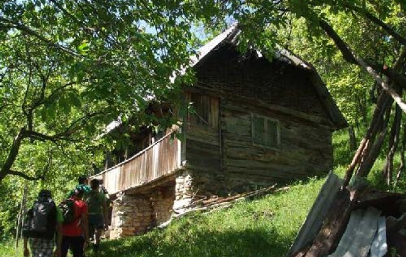 Austriecii vor să salveze un sat unic în România! Cum arată Firijba, casa tăietorilor de lemne