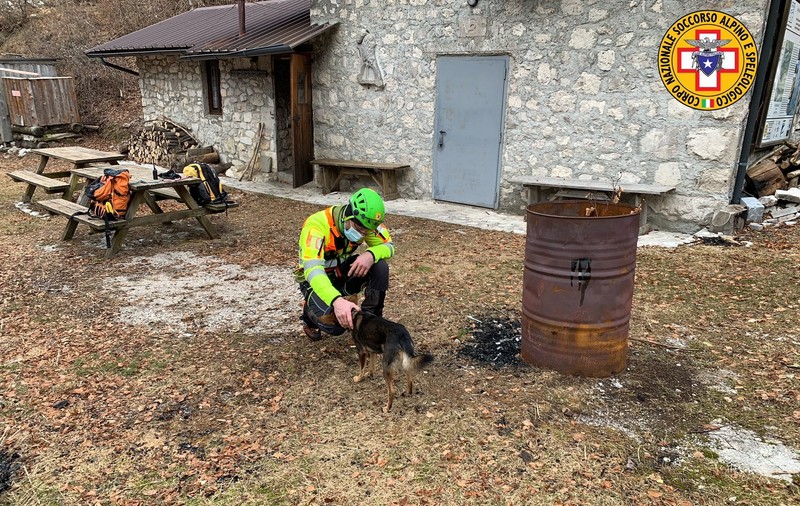 Un cățel și-a ajutat stăpânul să supraviețuiască o săptămână pe munte, după ce și-a rupt glezna