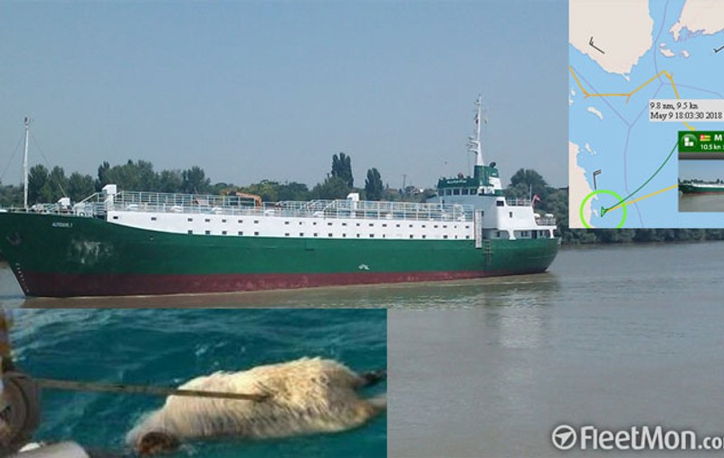 Oi din România pe plajele din Egipt, după ce au fost aruncate peste bord în Marea Roșie
