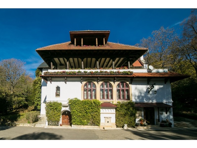 Conacul Brătienilor de la Florica