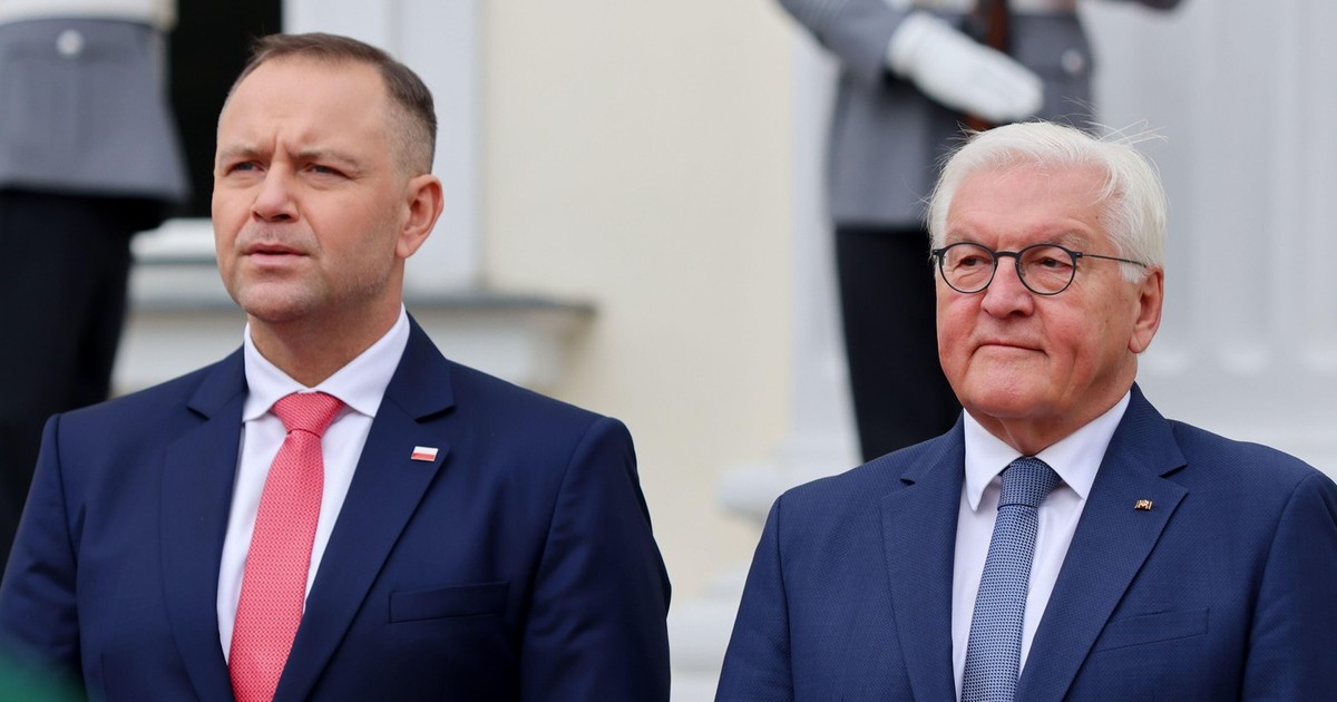 Karol Nawrocki (stânga), primit la Berlin de către Frabnck-Walter Steinmeier Foto: Profimedia