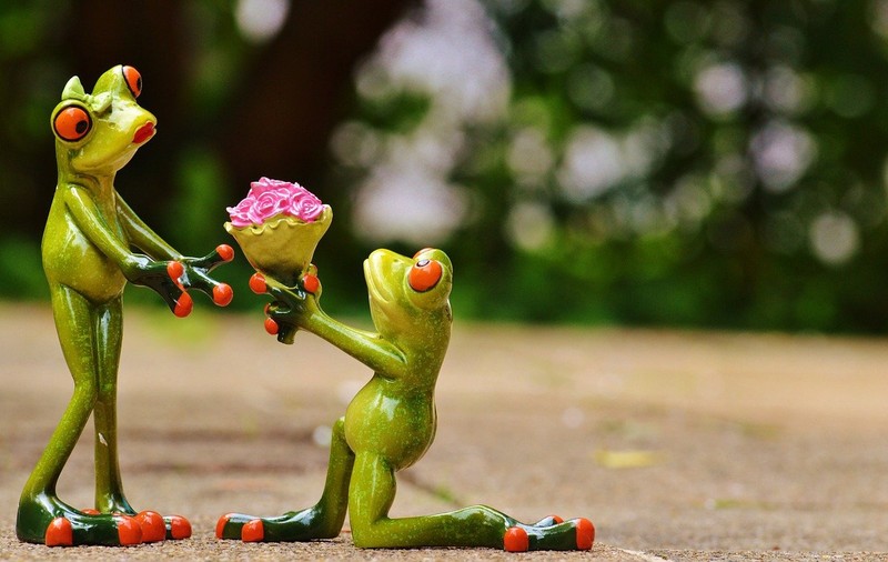 10 idei de cadouri altfel de Valentine’s Day pe care le poți comanda de pe eMag