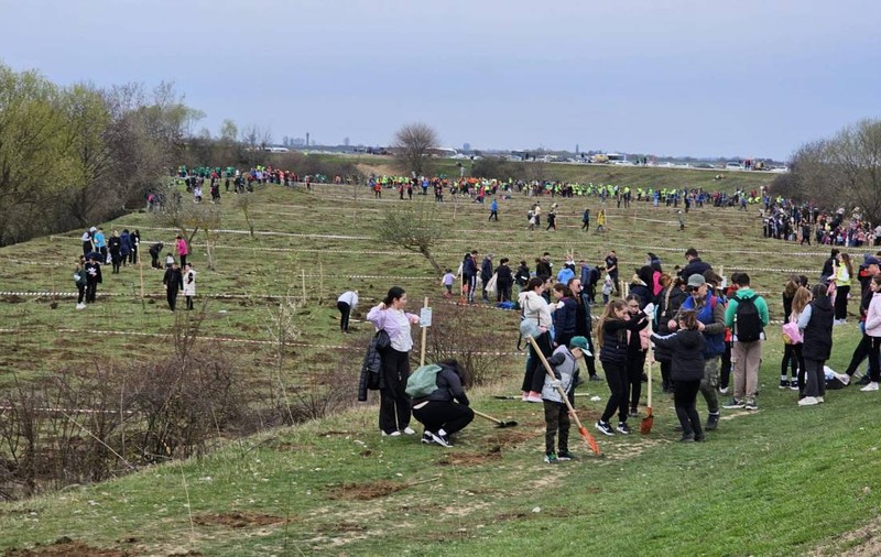 Acțiune ecologică de amploare în Oradea. Peste 5.000 de voluntari au transformat malul Crișului Repede într-o pădure vie