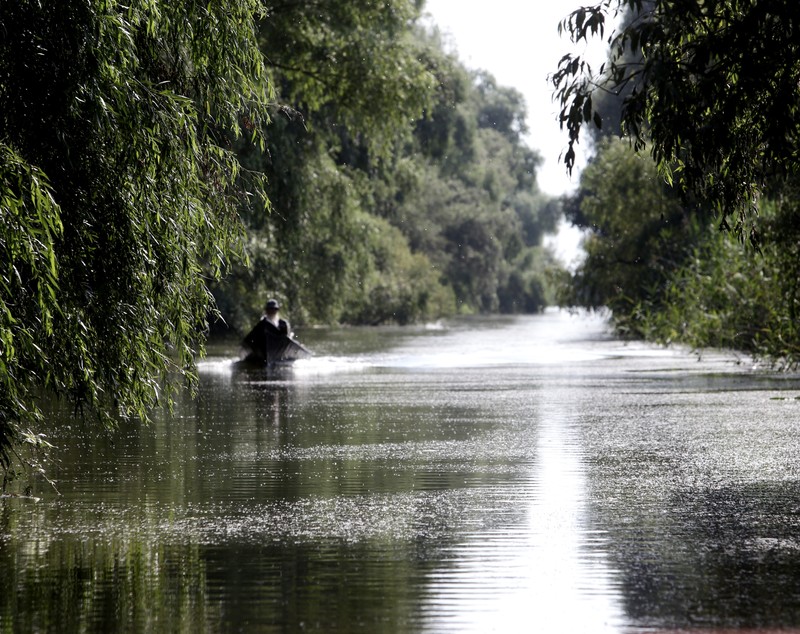 FOTOREPORTAJ/ Prin Delta Dunării, în căutarea sălbăticiei