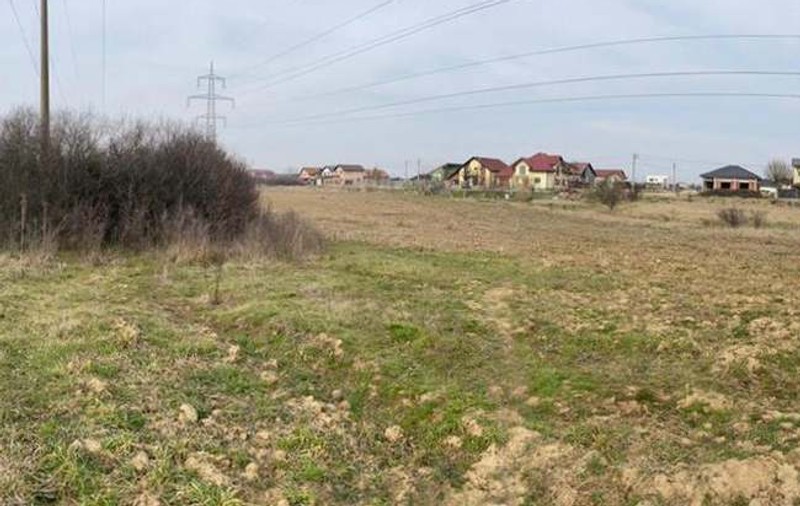 Cadavrul unui nou-născut, găsit aruncat pe un câmp lângă Timișoara