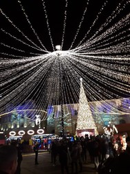 Bradul de Craciun in Piata Sfatului este adus dintr-o pășune proprietate a municipiului Brasov, din zona Timișul de Sus, zona Geizer (hotel Hart) și are o înălțime de 31 de metri.