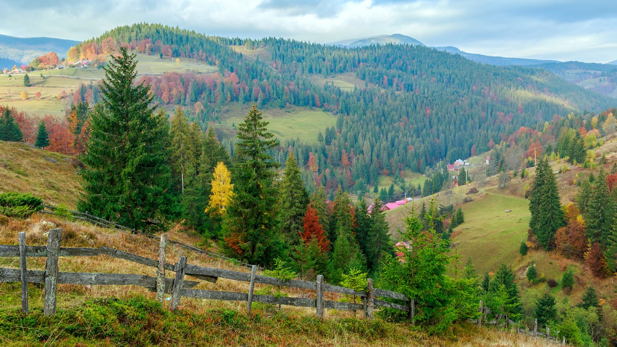 Arhiva foto