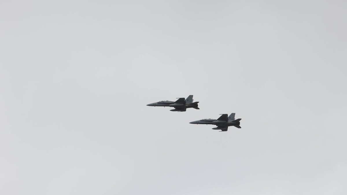 Avioane F-18 Hornet ale armatei spaniole Foto: Profimedia